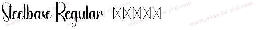 Steelbase Regular字体转换